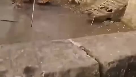 Excavator Falls into Mud