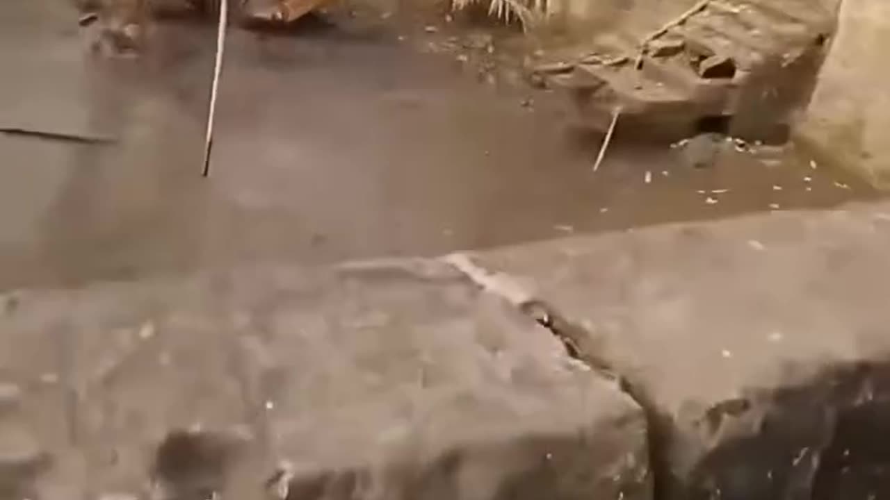 Excavator Falls into Mud