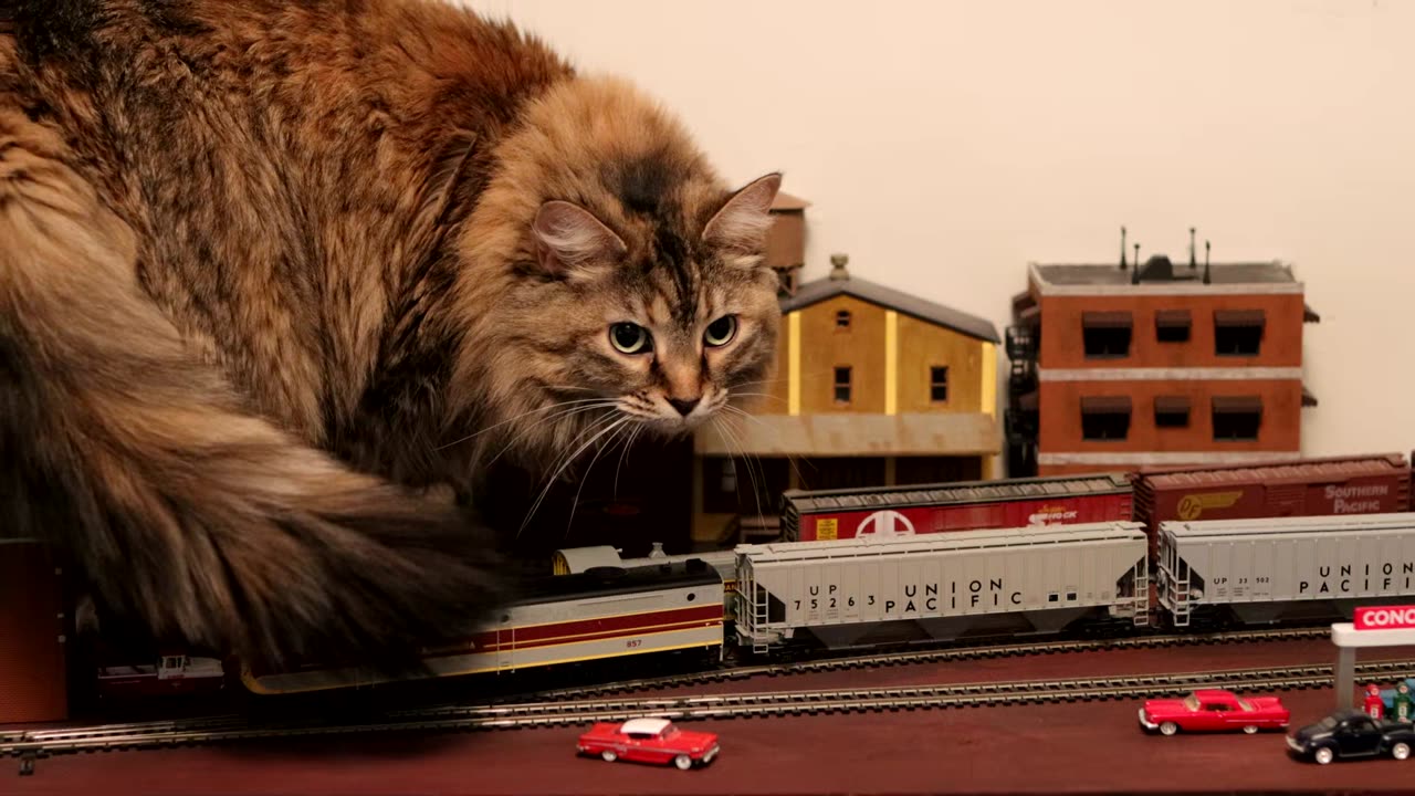 Table is painted - HO Scale Layout Update