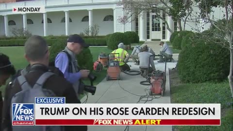 Donald Trump to bulldoze and delete Jackie Kennedy's famous Rose Garden!