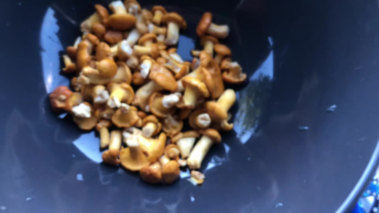 🍄Mushrooms in the summer? #sweden