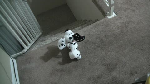 dicklan gets an ass kicking