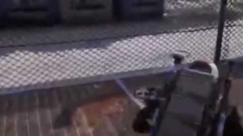 Nobody’s Safe lmao 🤣