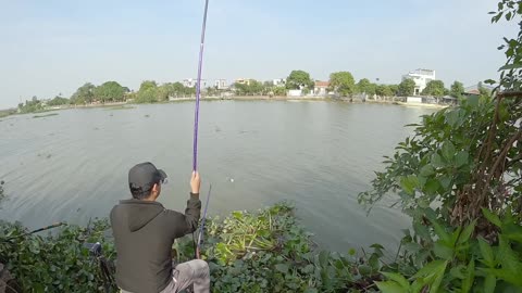 My Best Day Catching Roach by the Riverbank