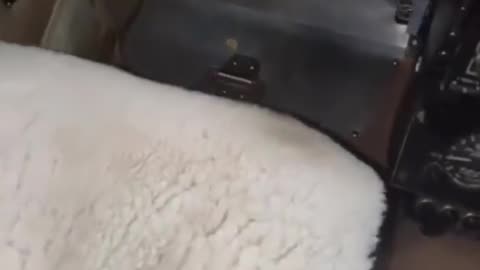 Chemtrails