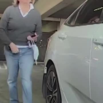 Doxing Website “Dogequest” Exposes Tesla Owners’ Personal Data Amid Rising Attacks