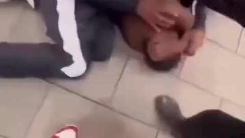 Apes fighting 2