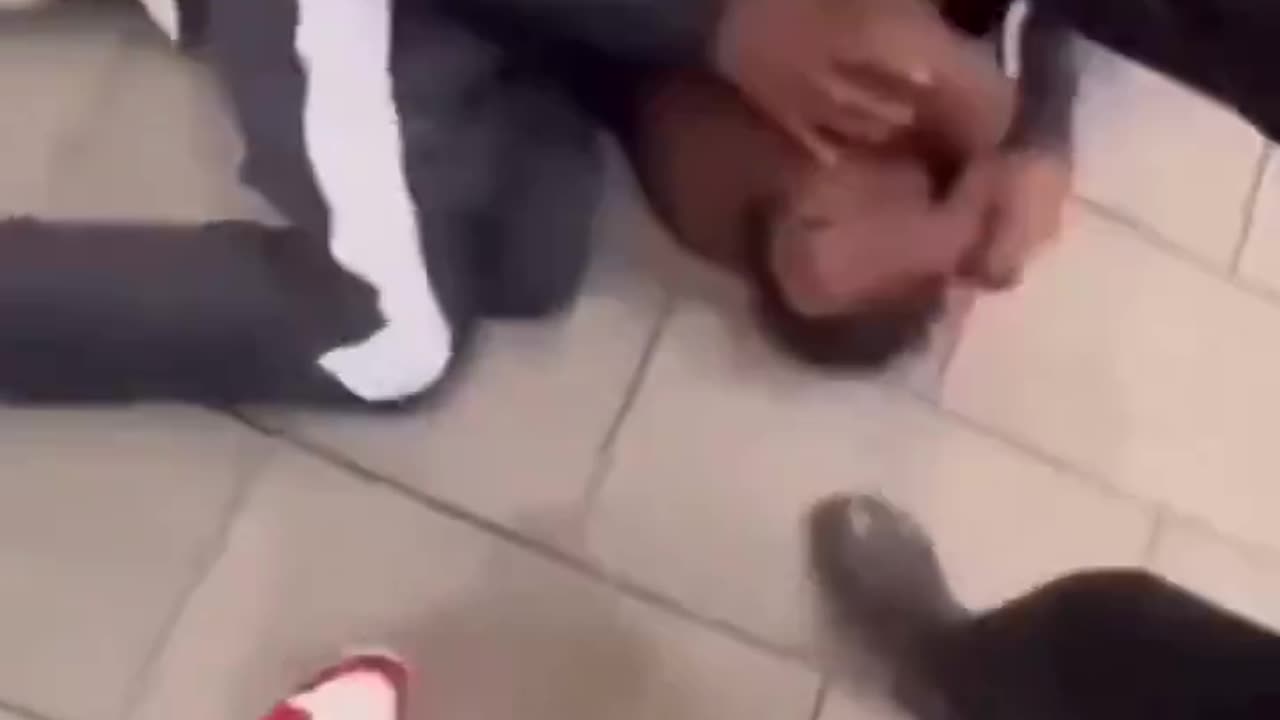 Apes fighting 2