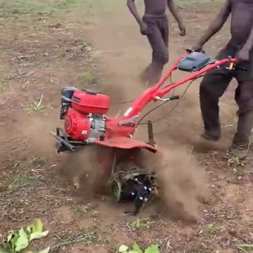 African farmers in action.