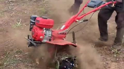 African farmers in action.