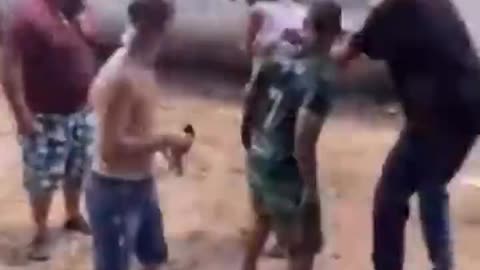An unhappy horse pinches hard