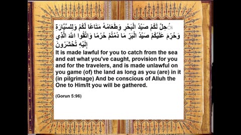 Shiism is Yahoodi Zionism 4