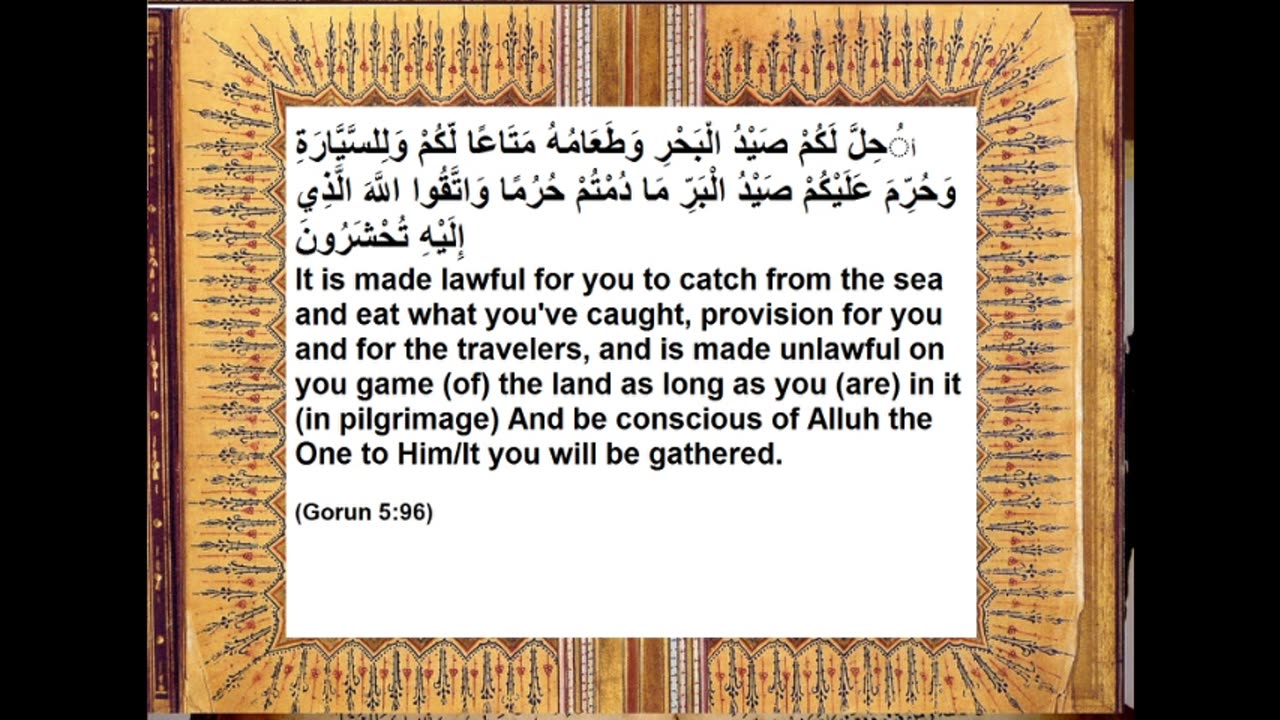 Shiism is Yahoodi Zionism 4