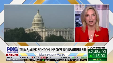 ‘FUNDING OUR DEMISE’: Rep. Ashley Hinson warns about China’s agroterrorism plot