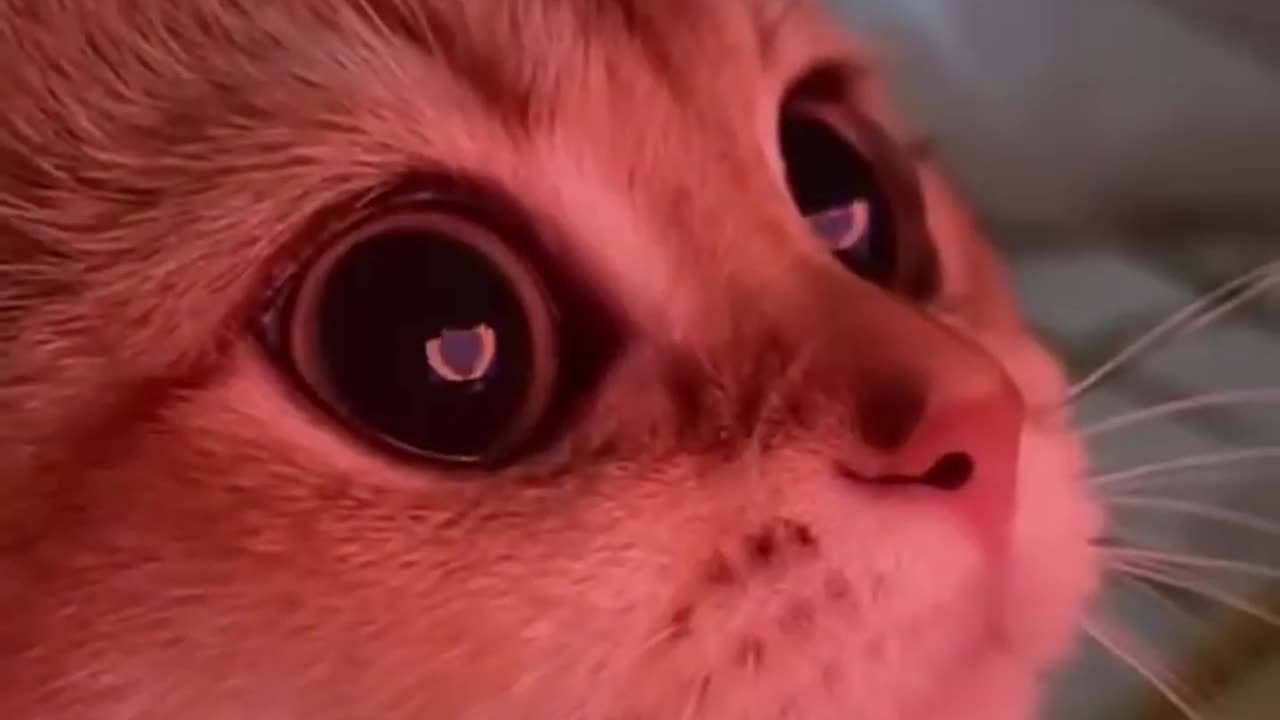 Pretty little baby😘✨😹