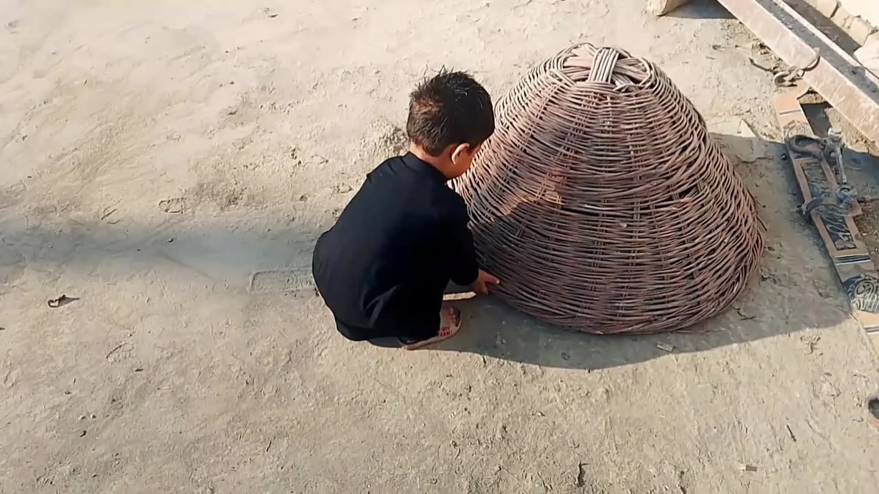 The boy was giving food to the hen
