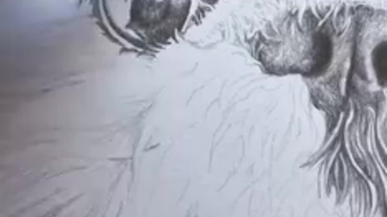 Amazing Dog Art!!!