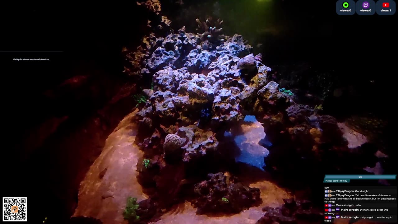 24/7 Real Live Reef Stream