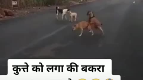 Wait till end 😂🔚