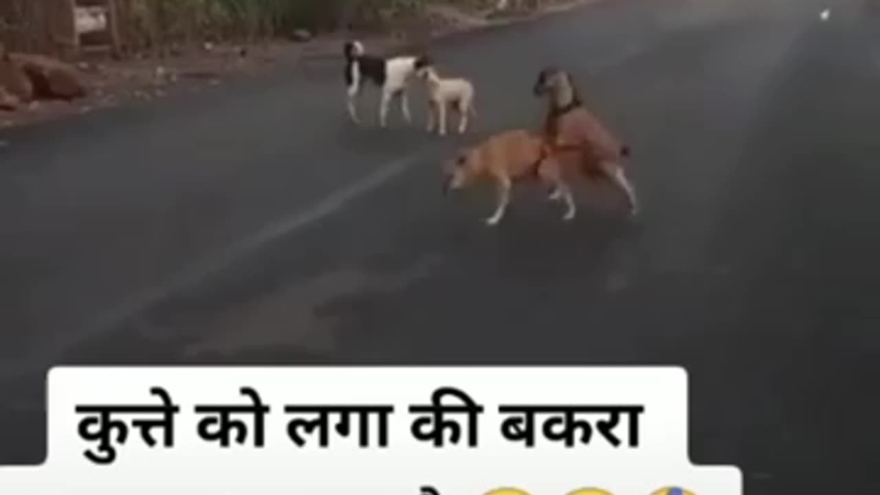 Wait till end 😂🔚