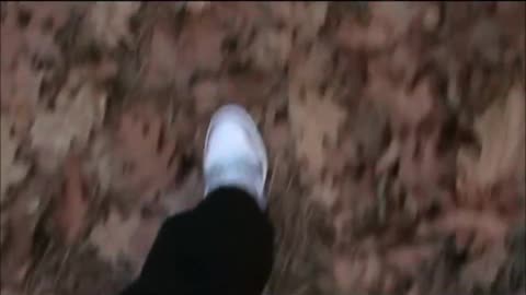 Going for a walk