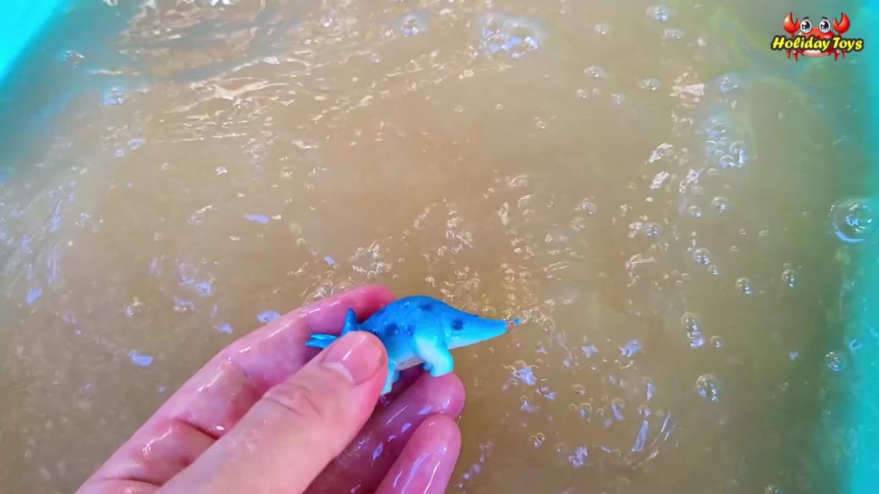 Rhino Enters the Water After Fighting with Hippo