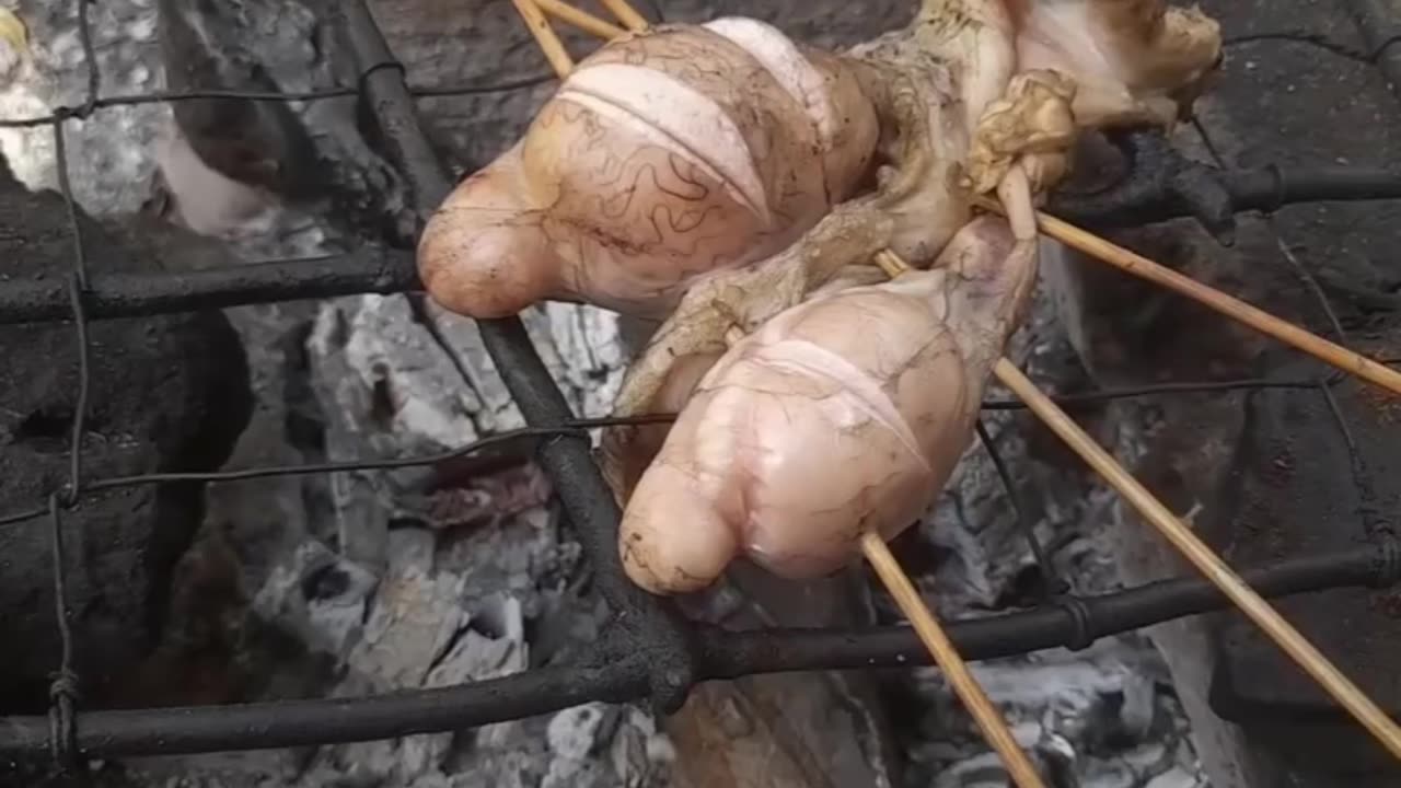 Goat balls 🐐😋😋