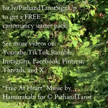 Need For A Pause | Path and Tarot Reading