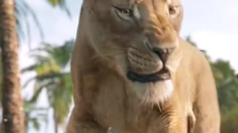 Mufasa 😍❤️ (Part - 13).....#reels #viralreels #reel #mufasa #animation #lastest #romantic #viralreel