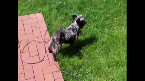 🔴POWERSPORTS, FESTS, SIMS/GAMING, COMEDY, TRAVELNSHEZ