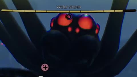 Wolf Spider Jumpscare