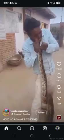 ANIMALS HATE STREETSHITTER RAT PAJEETS - SNAKES TOO Pfffft