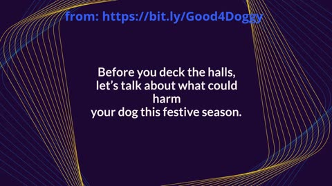 Holiday Safety Tips for Dogs: Must-Know Hazards to Avoid This Festive Season
