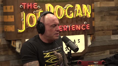 Family Friendly Joe Rogan Experience #2431 - Shane Gillis