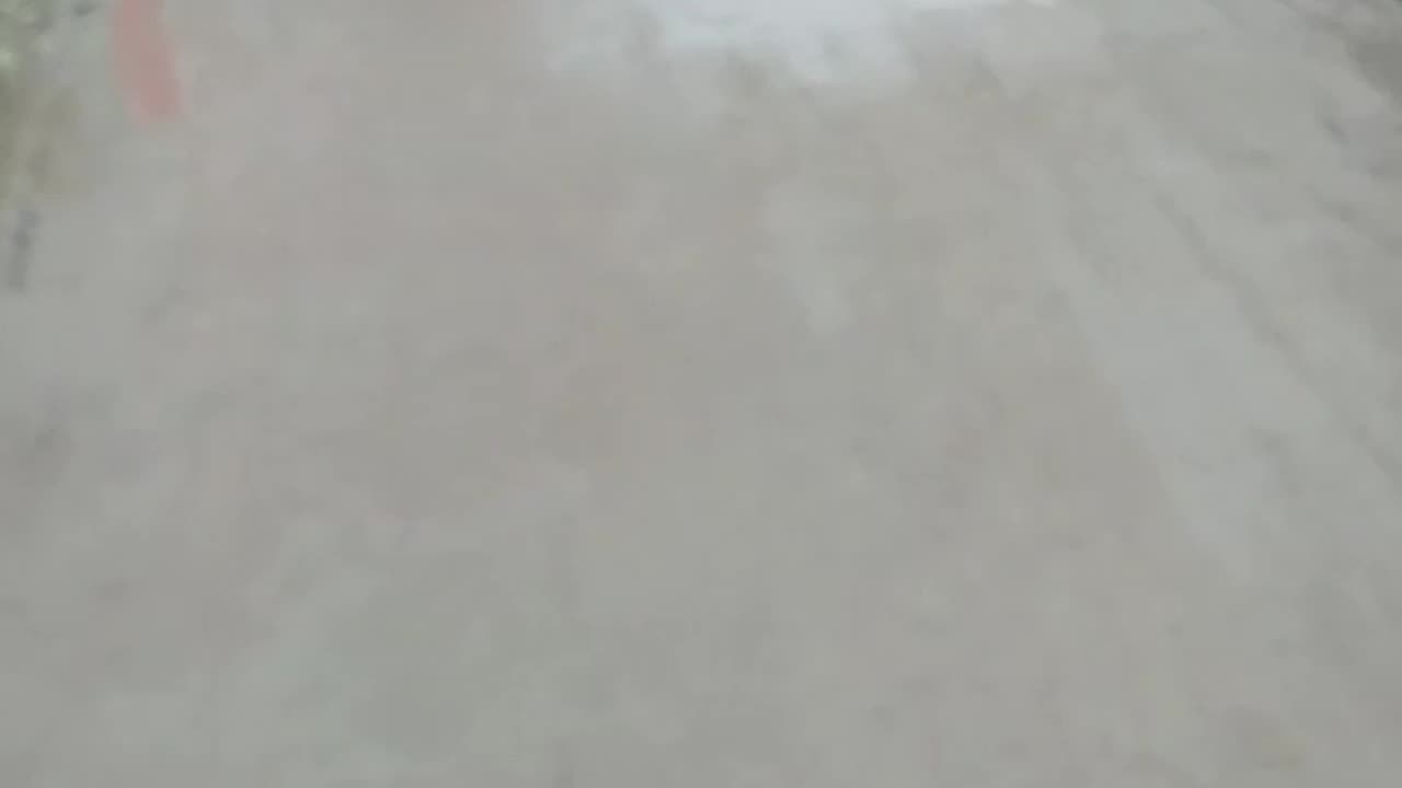 See more dog