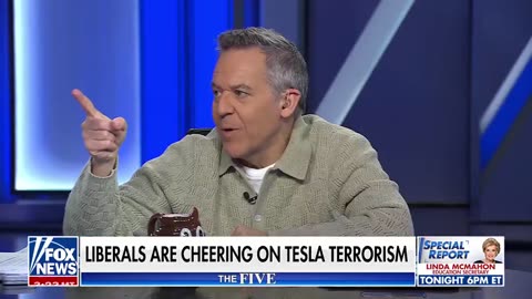 Democrats applaud and cheer the "Tesla Takedown" | The Five