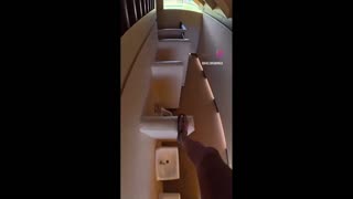 Daddy Goat 24/7 - Out Of Context Memes & Videos