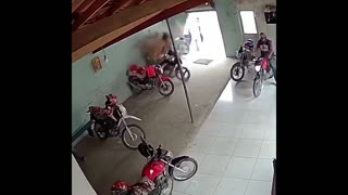 Daddy Goat 24/7 - Out Of Context Memes & Videos