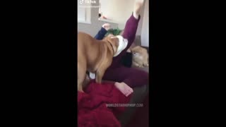 Daddy Goat 24/7 - Out Of Context Memes & Videos