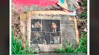Fake News NYT Busted!