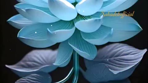 Beautiful video