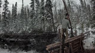 3 Days in Arctic Survival Shelter - Solo Bushcraft Camping & Blacksmithing.