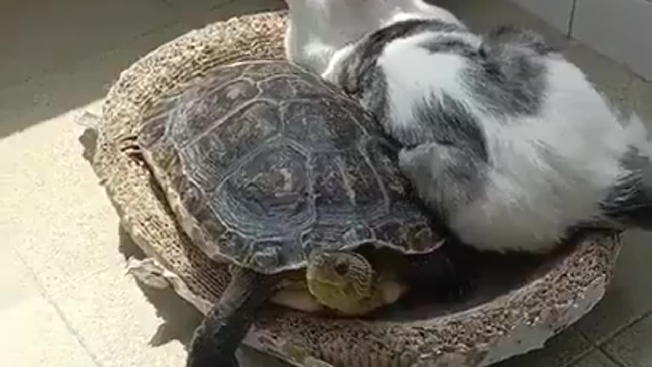 “I’m just gonna squeeze in here”
