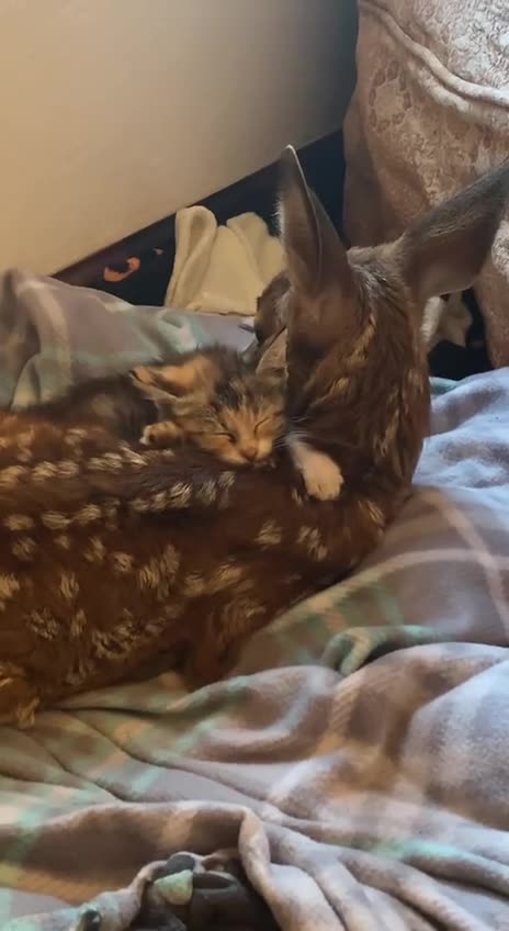 Friends comforting each other 😍