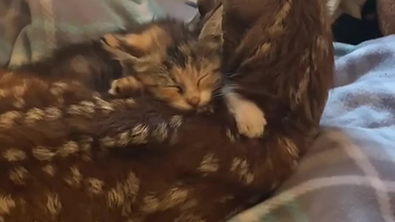 Friends comforting each other 😍