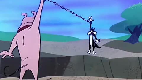 Tom Steals Bone – What Happens Next Is Crazy!