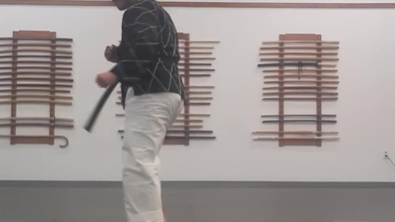 Tong Hap Kwan Hoshinsul/Hapkido Class Part 1