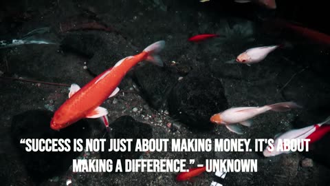KOI FISH GOOD LUCK, PERSEVERANCE, AND STRENGTH | #short
