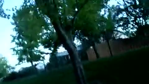 Ducks are like zombies!