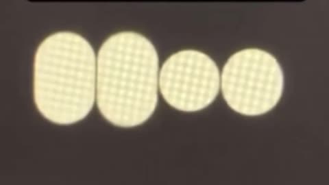 “The real conspiracy is that we’re being anchored, so we forget how to fly.